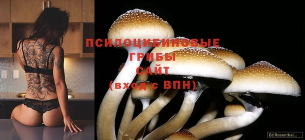 прущая мука Володарск