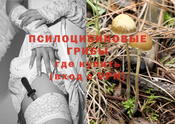 прущая мука Володарск